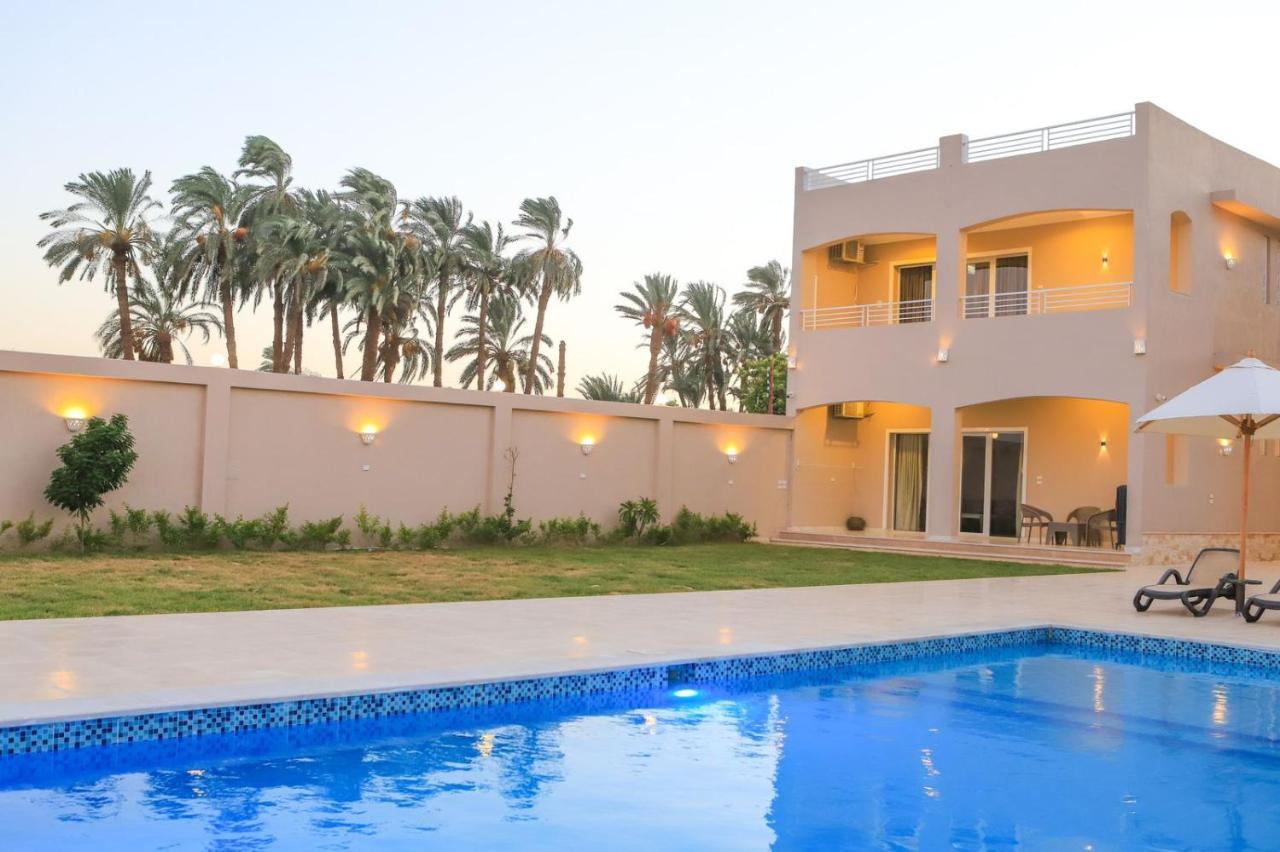 Royal Nile Villa - Pool View Apartment 1 Luxor Exterior foto